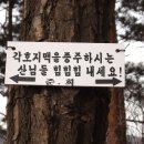 영동 삼봉산 Daum카페