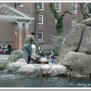 Sea Lion (바다사자) 공연 .... Central Park 에서 이미지
