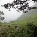 명기목장 이미지