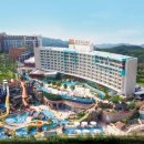 영산약품 이미지