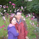 사임당화장품일산지사