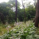 2024년 6월 29일 영도봉래산둘레길 및 흰여울문화마을 이미지