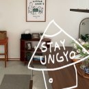춘천 에어비앤비 감성 숙소 독채 스테이운교 내돈내산 추천 후기