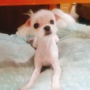 야미미용실 이미지