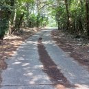 표선 교차로 2 이미지