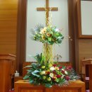 참사랑교회 이미지