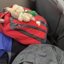 (유)케이에스환경건설 | 관악산 연주대 등산, 건설환경종합연구소 초보자 코스 후기