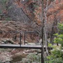 자일랜드 이미지