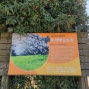 힐사이드목욕탕 이미지