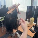 도봉-도봉-서울도봉-2444 이미지