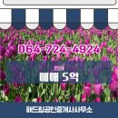 해드림공인중개사사무소 이미지