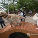 반려동물 테마공원 화장실 이미지