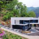 숲속반디 이미지