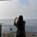 포항 신상 풀빌라 펜션 포항 오션뷰 숙소 제주인포항