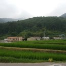 남해-284 이미지