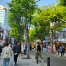 삼삼오오공인중개사사무소 이미지