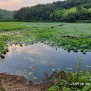 서포농장 이미지