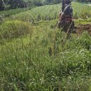 산북2리 이미지