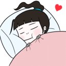 서귀동-41 네이버블로그