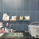 독살롱 다듬 이미지