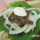 꽃보다소 이미지