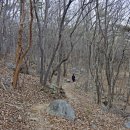 성주사 회귀형 숲길 이미지