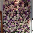 덕자네커피 이미지