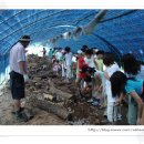 송내초등학교2 이미지