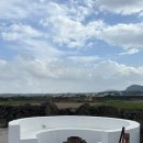 종달 홀라인 이미지