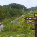 장성호수변길 이미지