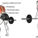 PnB 피트니스 이미지