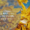 호의를 베푸는 바로, 복의 전달자 야곱 (창세기 47:1~12 이미지