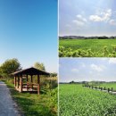 형도농장 이미지