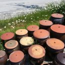 동고민박 이미지