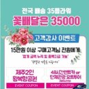 원플라워투어 이미지
