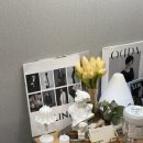 나를 표현하는 퍼스널컬러 | 패션 컨설팅 슈어미 후기 1:1 스타일 컨설팅 / 봄라이트 퍼스널컬러 진단