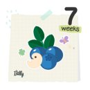 신전떡볶이약대점 | [입덧] 임신 6-7주 입덧 증상 및 완화 방법 후기, 디클렉틴 장용정 복용법 및 후기