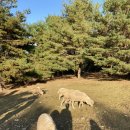 해피목장 이미지