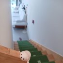 펜션리오 이미지