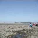 영흥민박 이미지