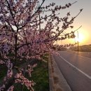 도화농장 이미지