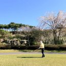 장성 | 푸른솔GC장성 라운딩후기! 그늘집 두부김치 순대 무료간식