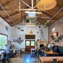 제주 도련동 귤나무류 | 제주도 감귤 체험, 감귤나무숲 귤 따기 체험 후기