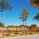 마일레 길우모터스 이미지