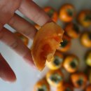 감은골 농장 | 구례성가네농장 부유단감 10kg