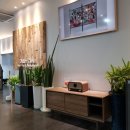 디딤정신과의원 이미지