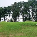 박안건 묘소 이미지