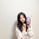 일리터캔더저렴