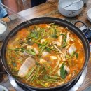 선생태동태현