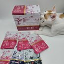 영양-5)영양군 우리부두 옆 | 고양이 보양식 펫쥬르 경독고 프리미엄 고양이 닭고기 영양간식 솔직후기